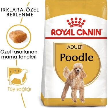 Royal Canin Poodle Adult 3 kg – Yetişkin Köpekler İçin Özel Mama