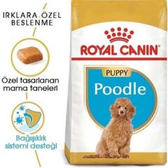 Royal Canin Poodle Puppy Köpek Maması 3 Kg